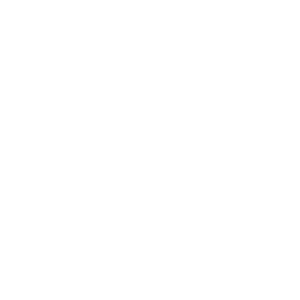 stella developers white logo